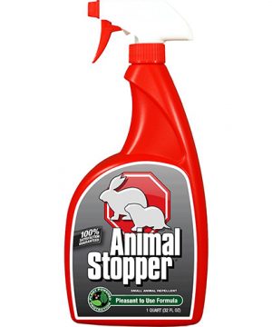 Squirrel Stopper Ready to Use 32 oz.